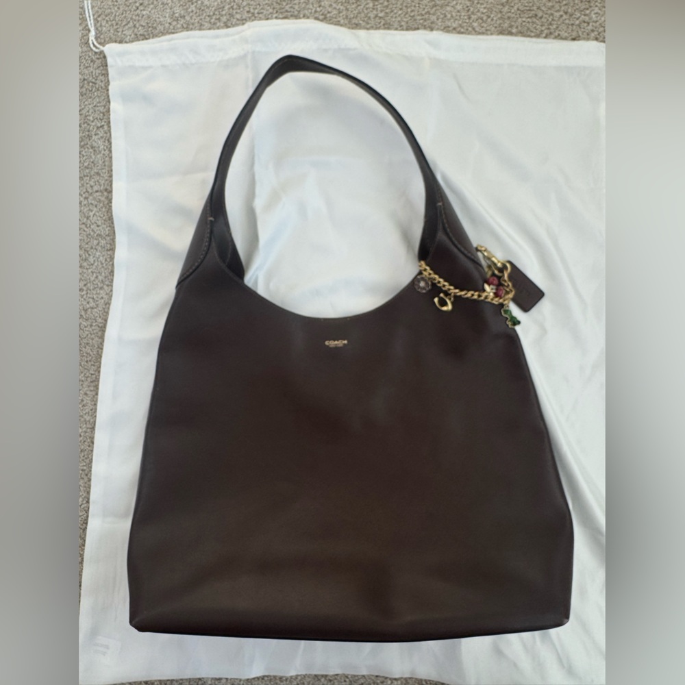 Coach Brooklyn 39 Shoulder Bag in Brass/Maple with Coach Chain